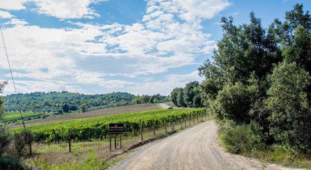 Agriturismo Fattoria Di Gratena Arezzo Eksteriør billede