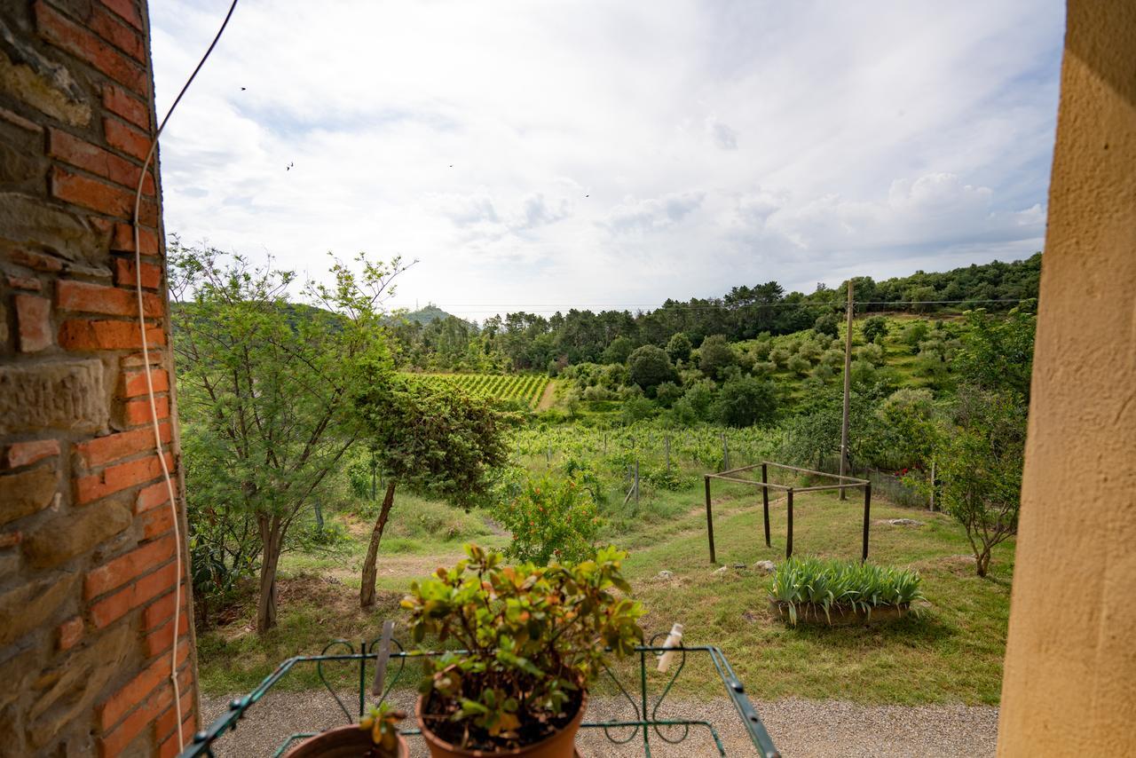 Agriturismo Fattoria Di Gratena Arezzo Eksteriør billede