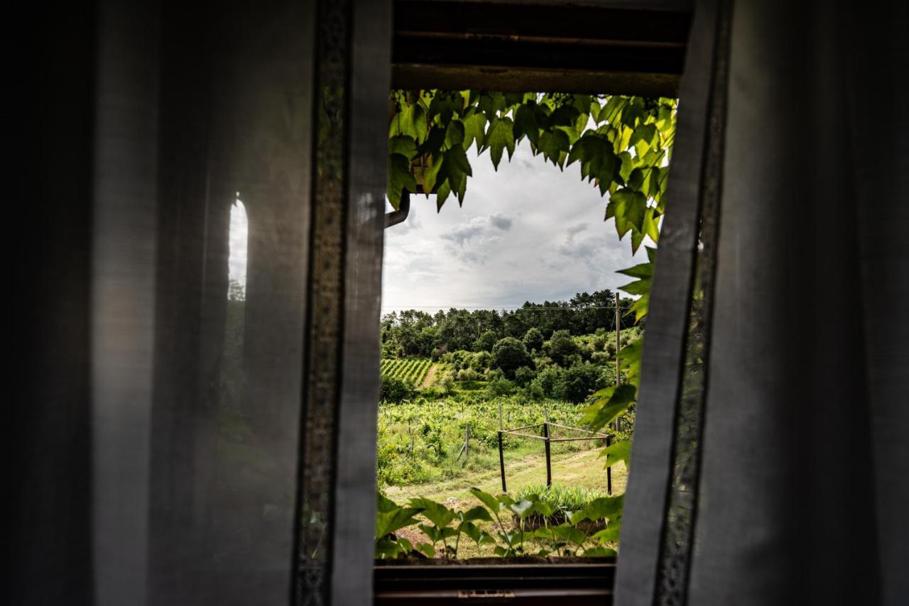 Agriturismo Fattoria Di Gratena Arezzo Eksteriør billede