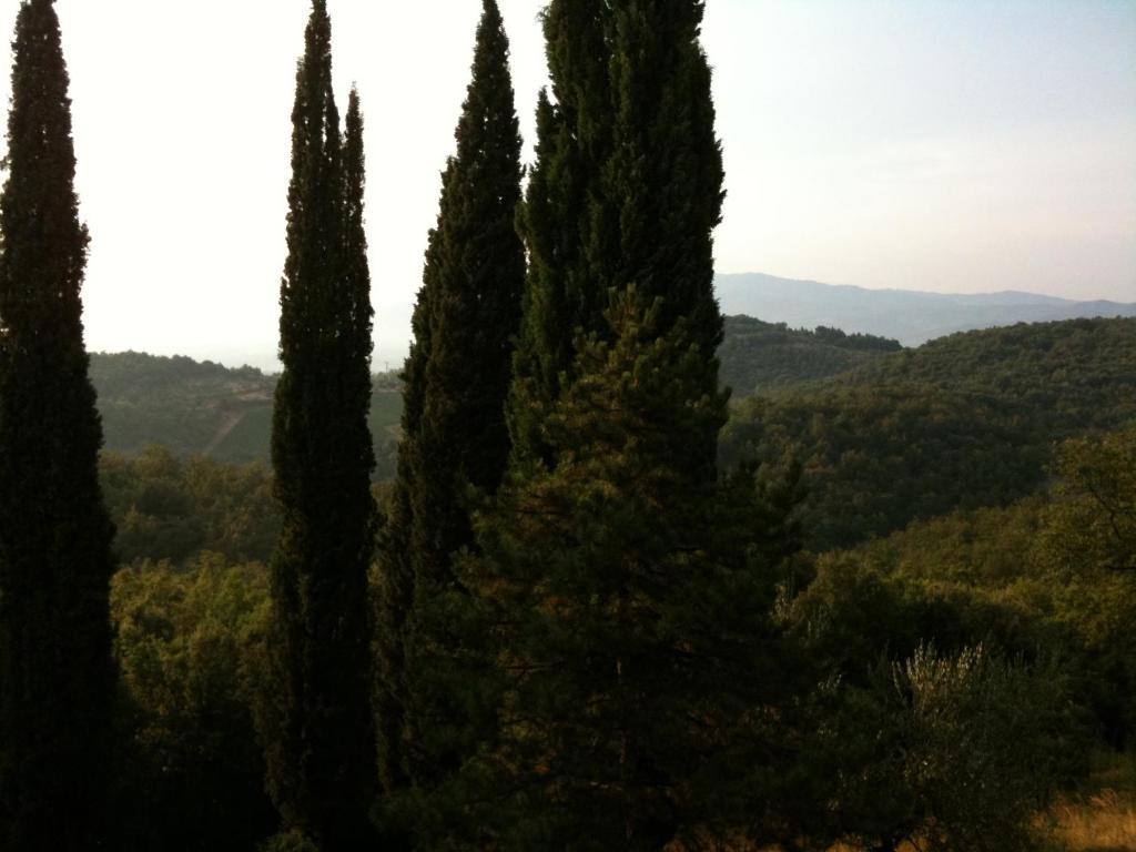 Agriturismo Fattoria Di Gratena Arezzo Eksteriør billede