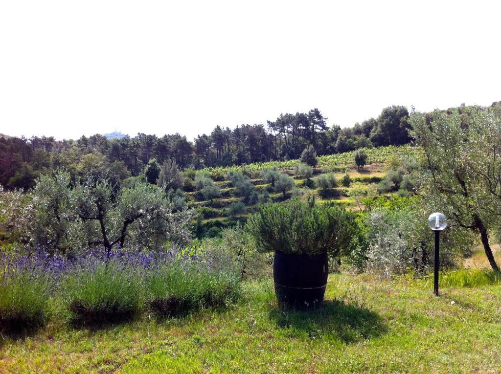 Agriturismo Fattoria Di Gratena Arezzo Eksteriør billede